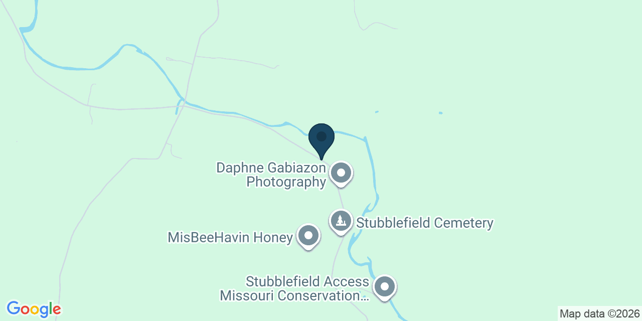Map showing Jenkins, Barry County, MO