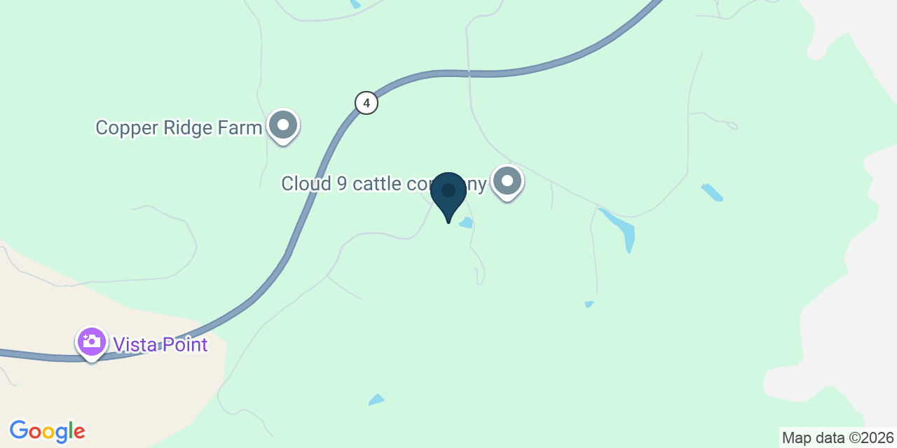 Map showing Copperopolis, Calaveras County, CA