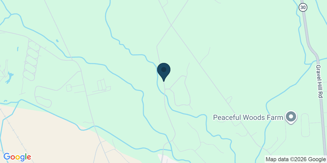 Millsboro Man, 32, Killed in Single-Vehicle Crash on Peterkins Road in Georgetown